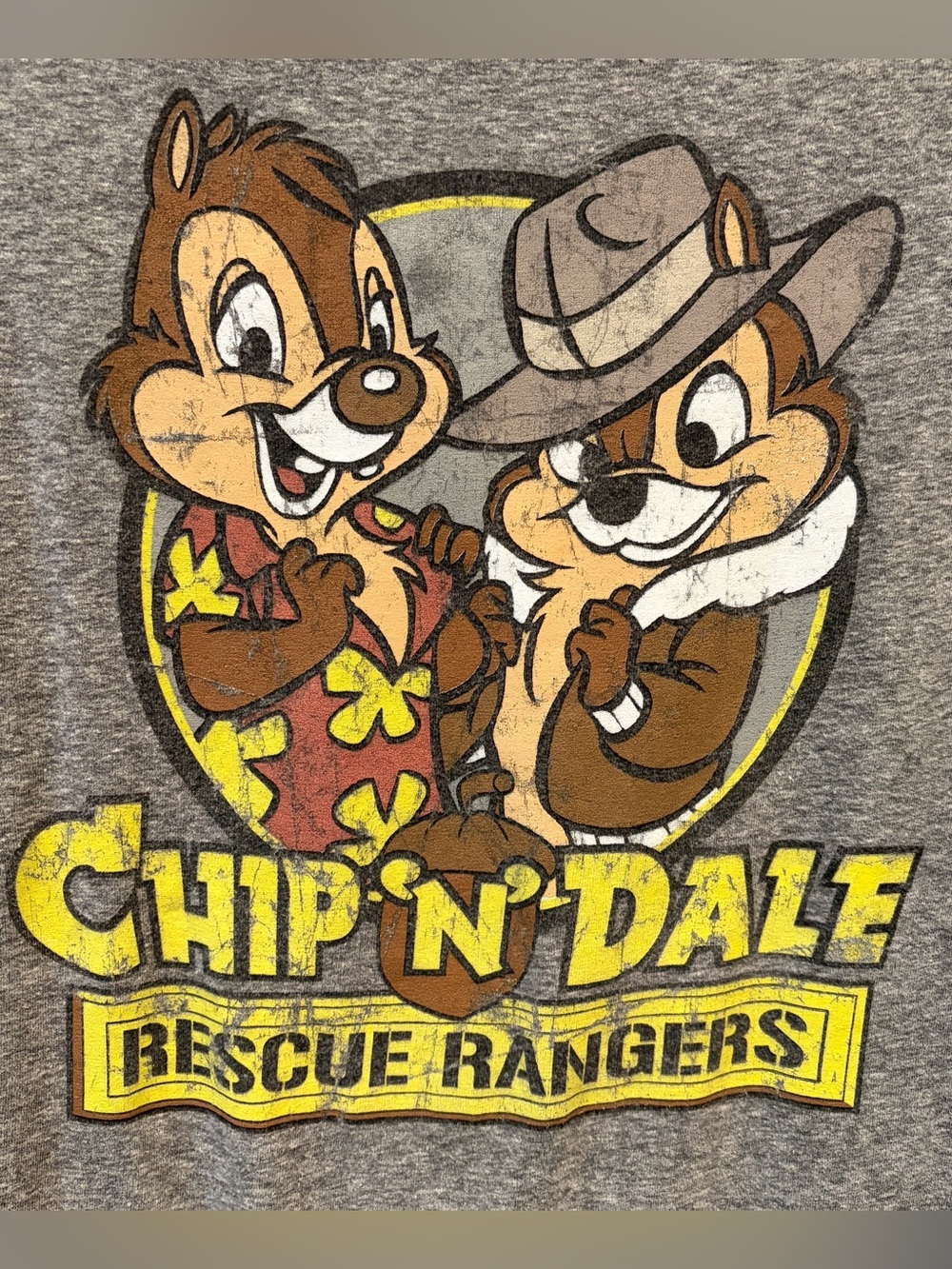 Chip n’ Dale Rescue Rangers tee